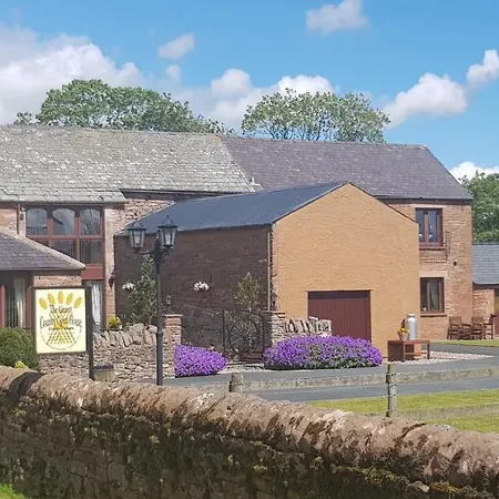 Penzion The Ginney Country