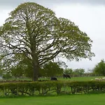 The Ginney Country